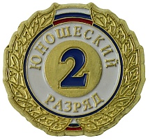Купить Значок ZRJ